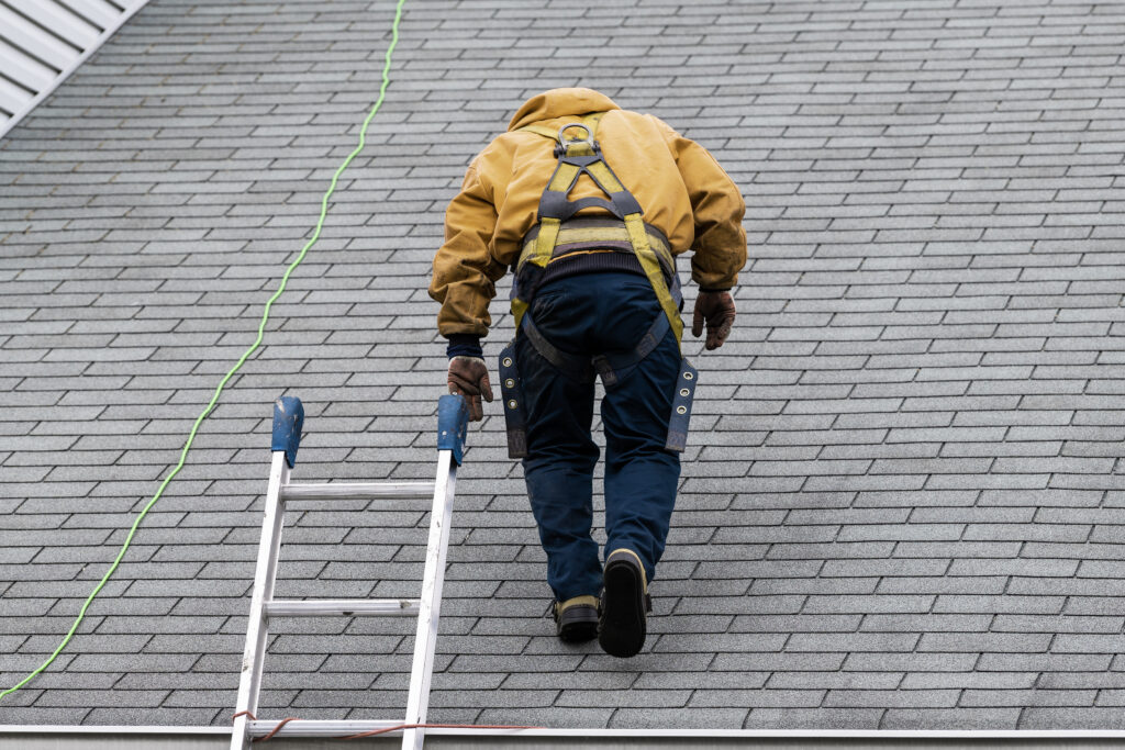 Roof inspection